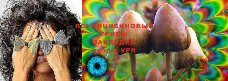 где продают   Магадан  Галлюциногенные грибы MAGIC MUSHROOMS 